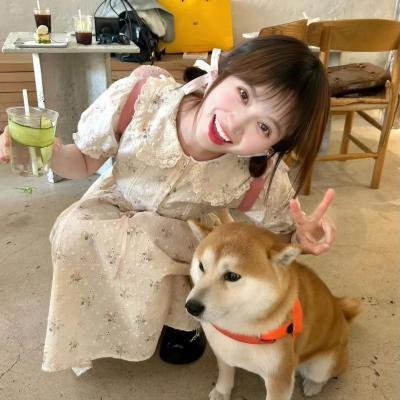 中国大骗局