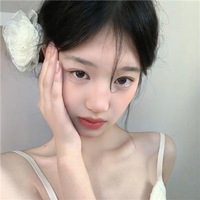 宠物情人
